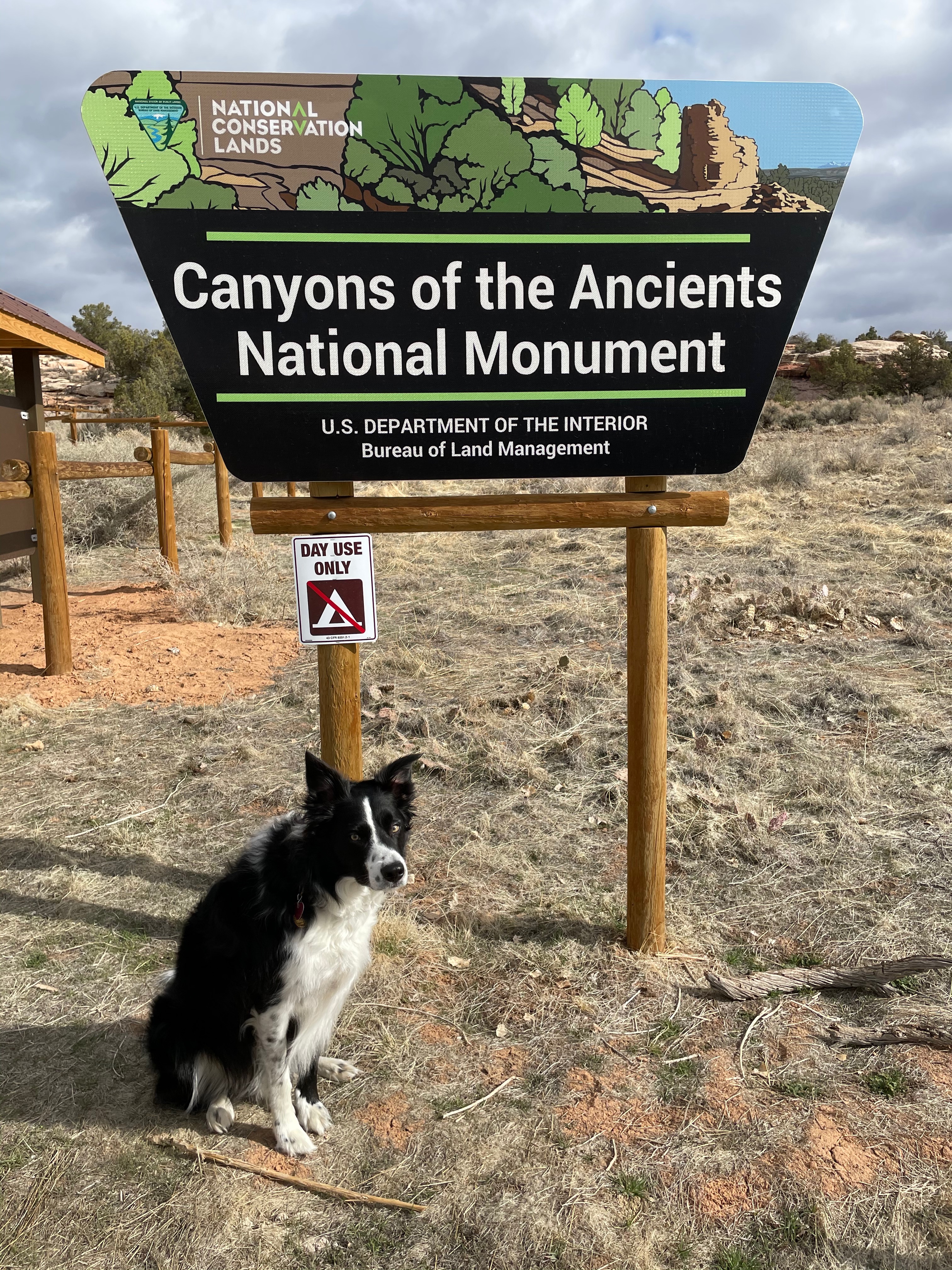 Canyons of the Ancients National Monument felt like a hidden gem. I've been to Mesa Verde before, which is cool, but it's always crowded. There was almost nobody at this monument.