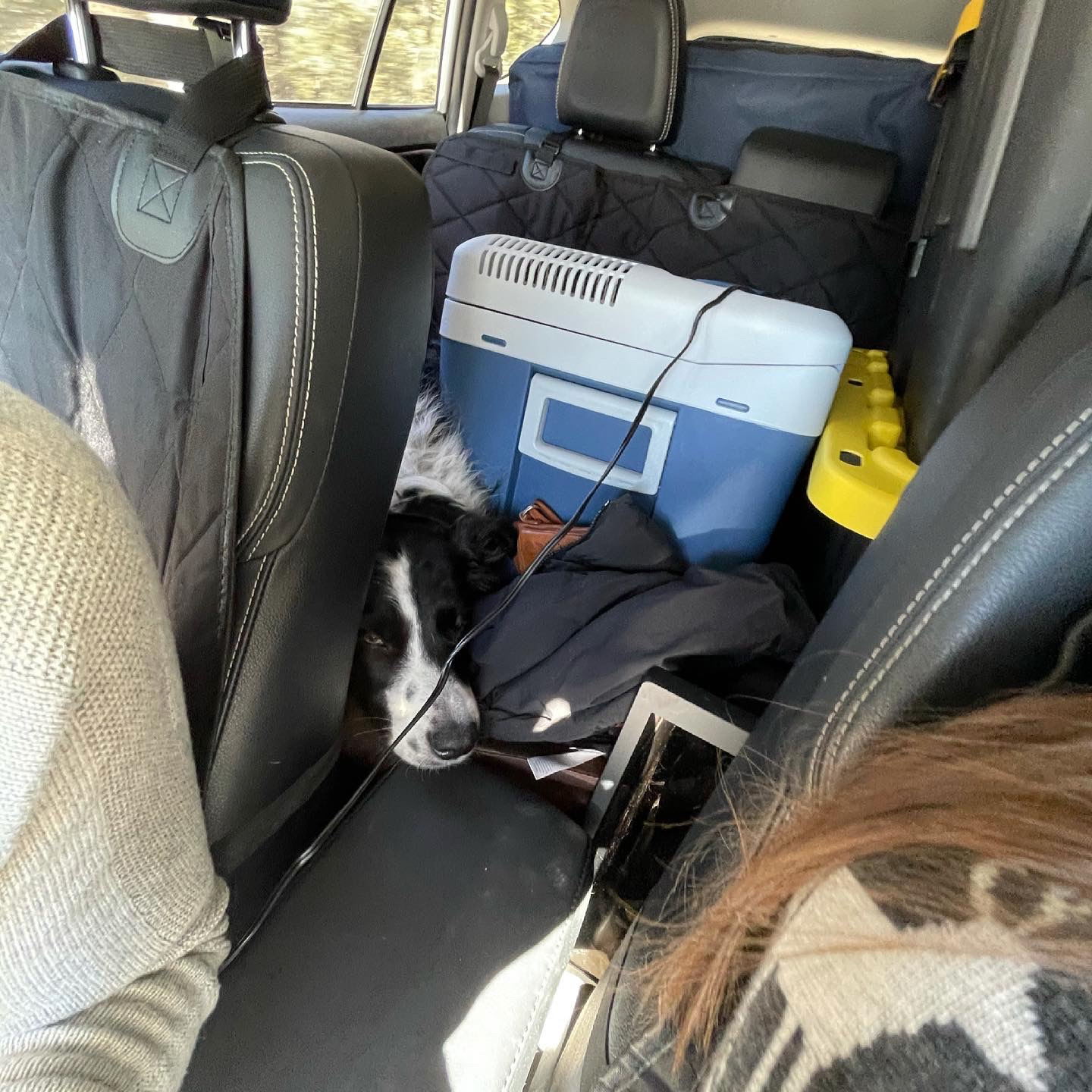 Skutull was not pleased with how much space he had. There was a lot of huffing and grunting during the drive to Dolores.