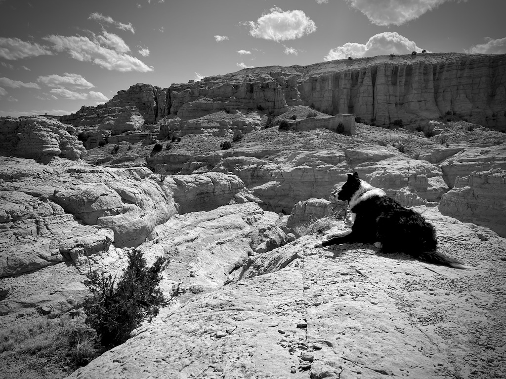 Skutull looking out over his domain like Simba after we made it to the top/end.
