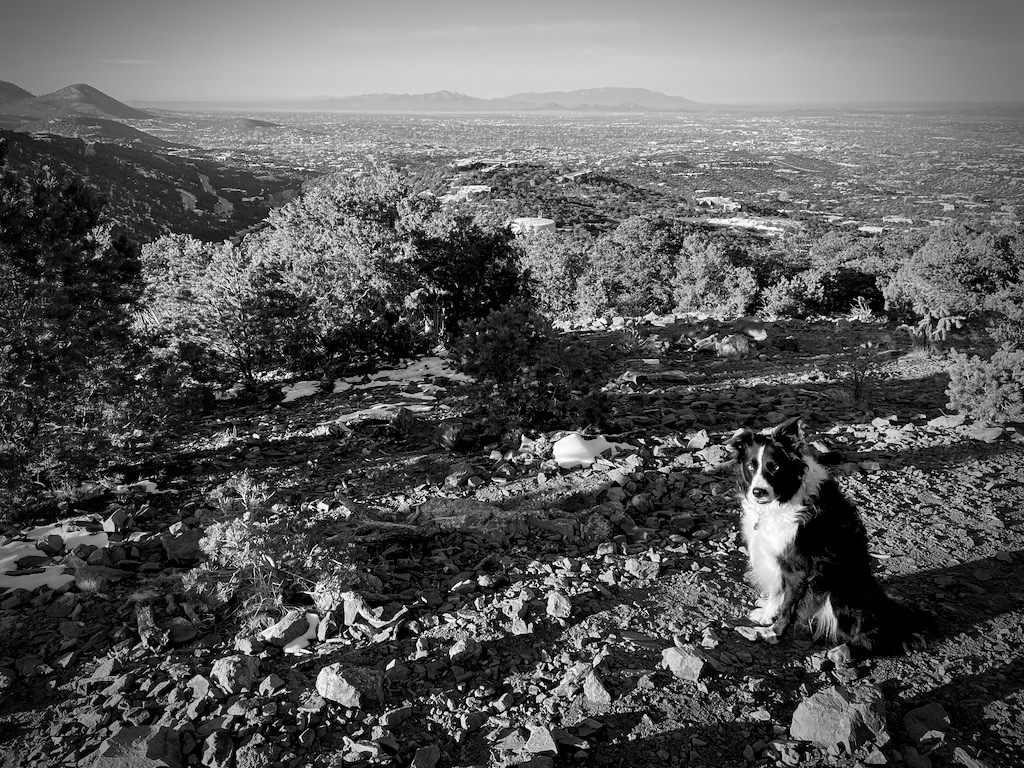 Hiking early in the morning near our house.