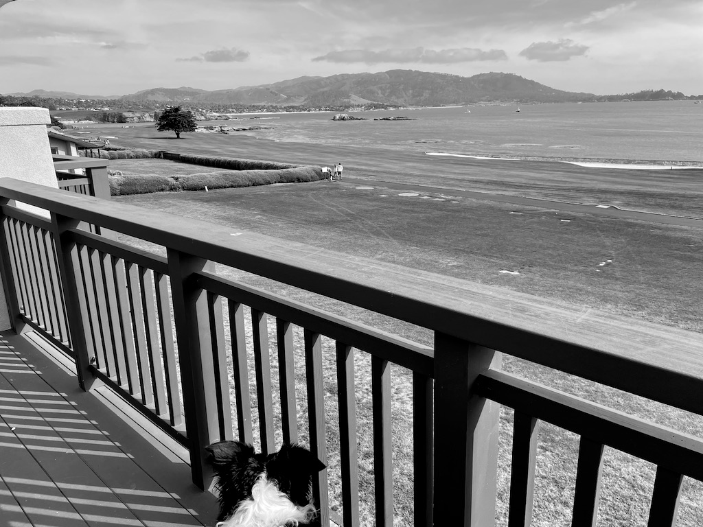Skutull looking out over hole 18 from our hotel balcony.