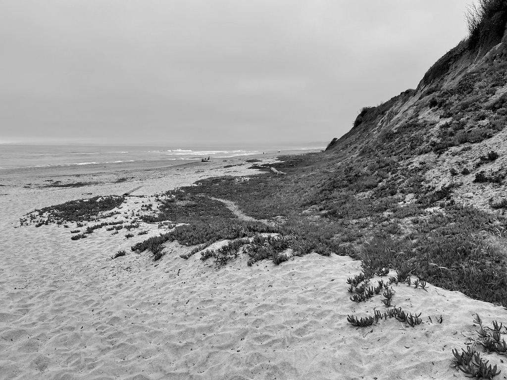 The (nearly) private beach by our house near Santa Cruz. Skutull and I ran here most mornings.