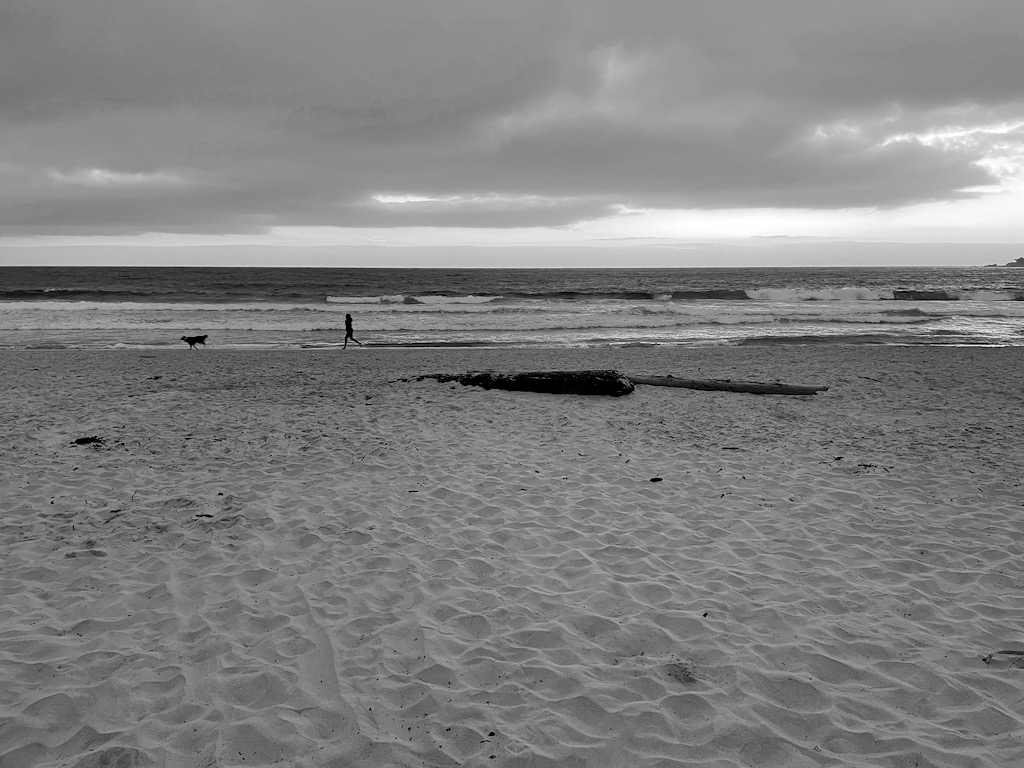 Shelby and Skutull running across the beach in Carmel by the Sea.