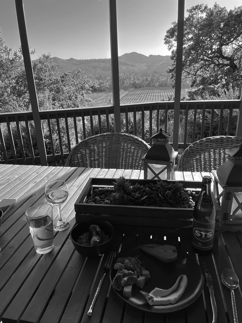 The view from our patio in Sonoma.