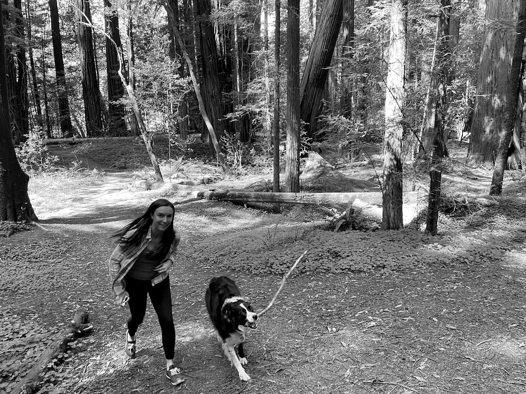 Stick!