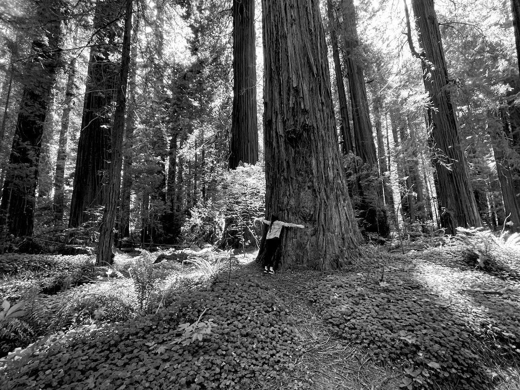 Shelby is famous for her tree-hugging pictures, but was reluctant to hug this one because it was covered in spider webs.