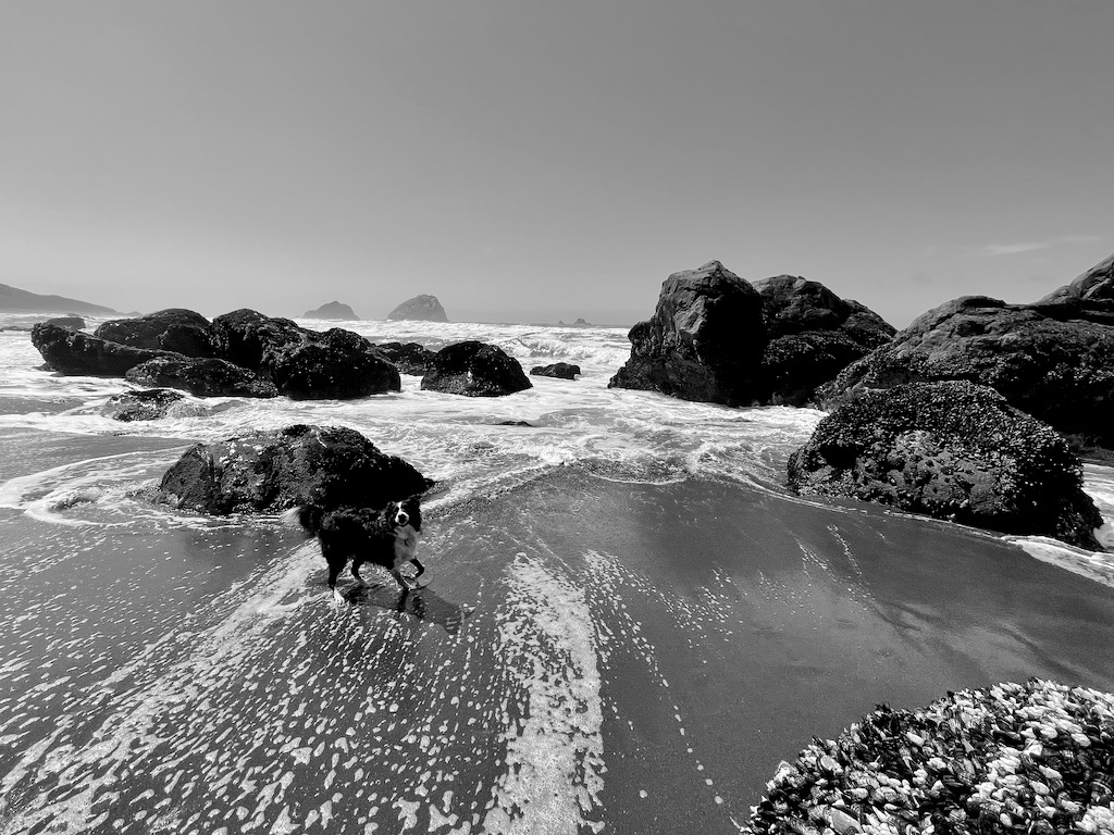 The last beach in California before making it to Oregon.