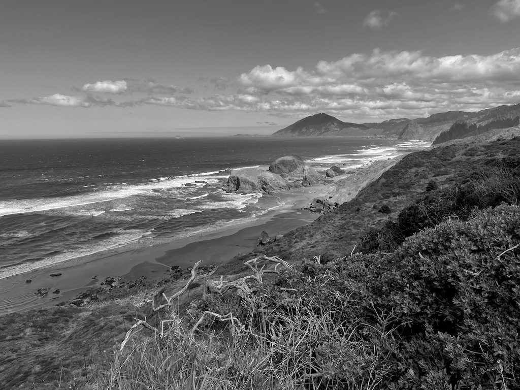 The Oregon seascape.