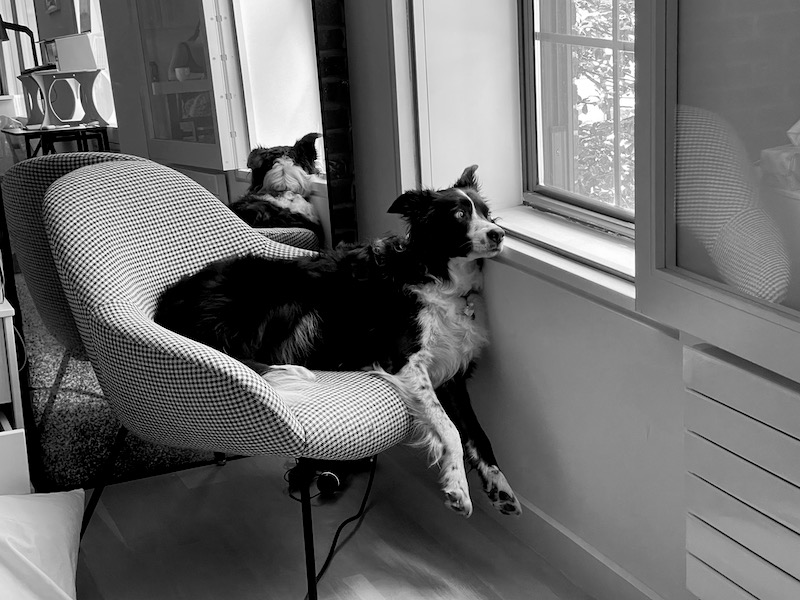 10 many naps were had people watching