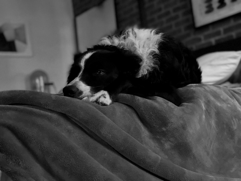 14 more naps