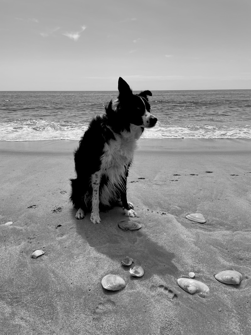The Hamptons.