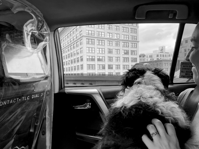 Skutull's first taxi ride.