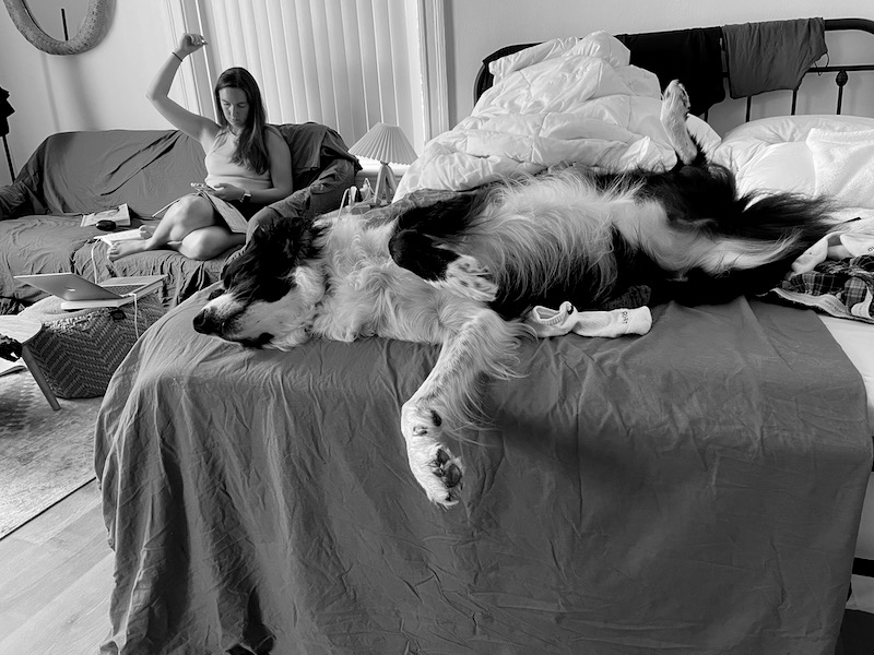 The best naps are on top of fresh laundry.